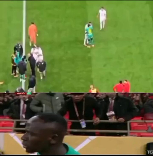 DbzpU6b5cHM NNpW.jpg