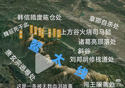 Image 1768831741018.jpg