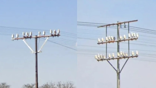 South Africa, bird poles.jpg