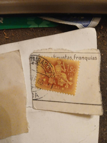 72749763de03.jpg
