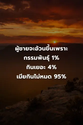 9a3aa6cd3786.webp