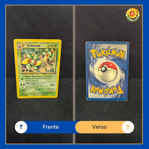 88e25c45 eb44 4ec0 94ab 4b6172fd099a.jpg