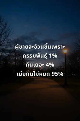 33962c14ca7f.webp