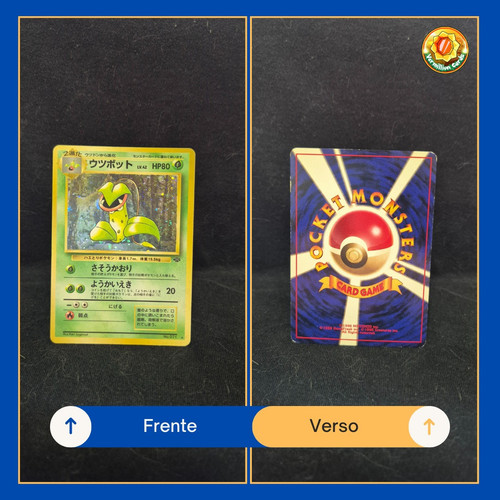 eaef1149 7f9c 4853 ac3c 64820e7ba759.jpg