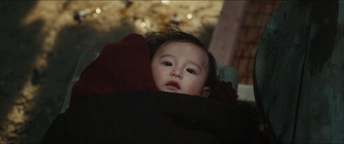 vlcsnap 2026 01 18 18h04m36s141.png