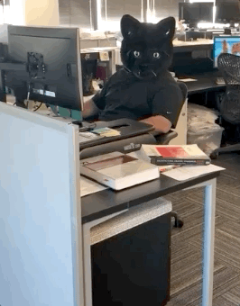 fg6N9P1.gif