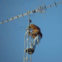 Digital Aerial Installation Brisbane | Clear TV Reception.jpg