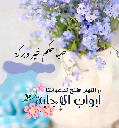 G 7EEGXX0AAiKXL?format=jpg.jpg
