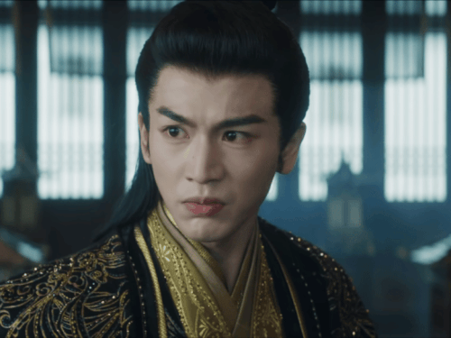 IMG 20260119 195133 058.gif