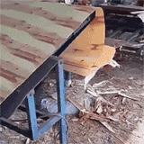 你知道树木是怎么生产出来的吗.gif