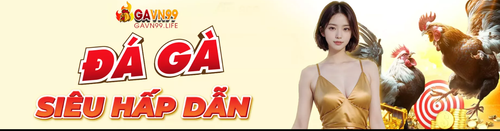 gavn991.png
