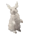 1000038008.gif