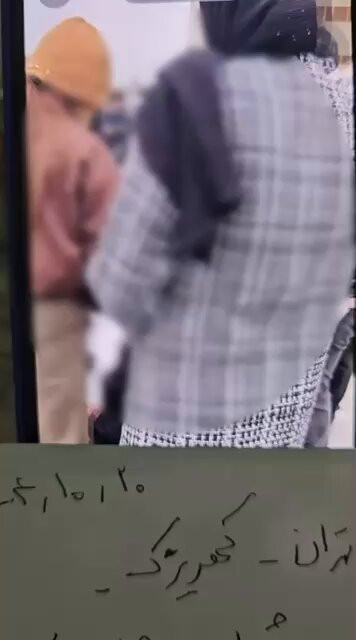 eAN8DT9wshHoevRJ.jpg