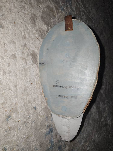e39cef2c251c.jpg