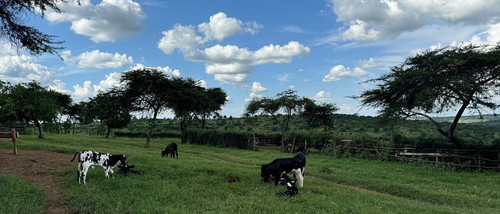 G 6DEgeWsAA yxD?format=jpg.jpg