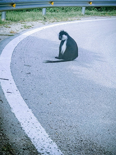 G 8oKIoWUAA9m5e.jpg