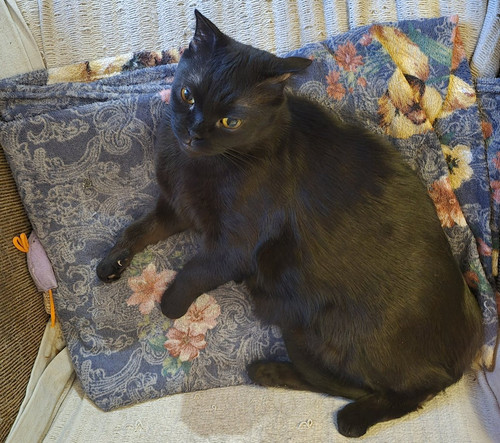 G Ao0FXWUAAzJFu?format=jpg.jpg