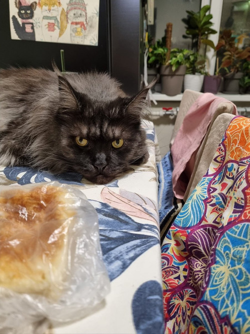 G AWCn7WMAECigW?format=jpg.jpg