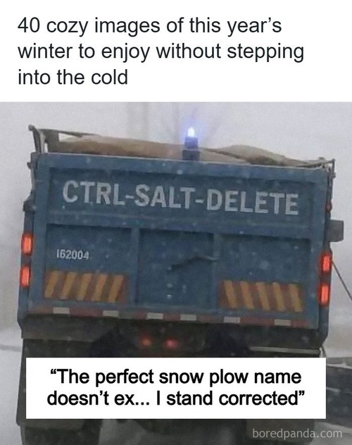 snow images.jpg