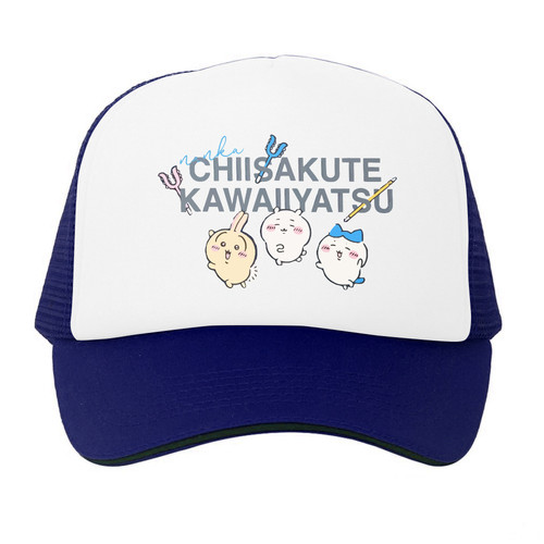 Trucker Hat 03 Navy White.jpg