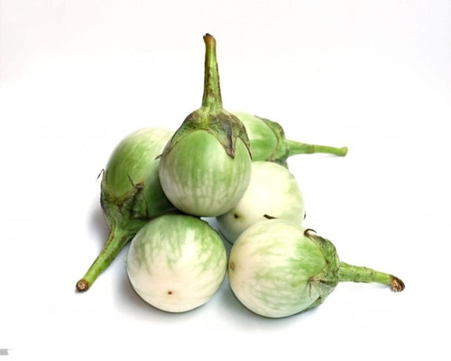 41SGqgyjX6L. SL1024 .jpg