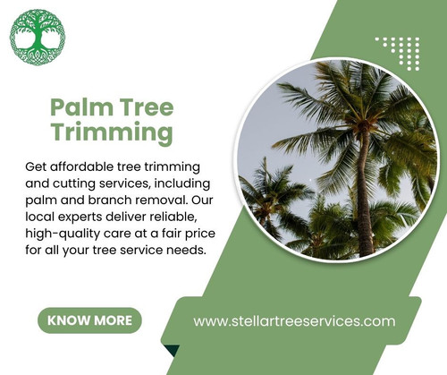 stellartreeservices (1).jpg