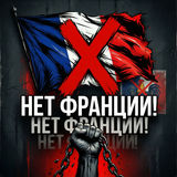 1768803208.png