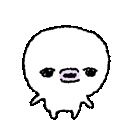 IMG 2343.gif