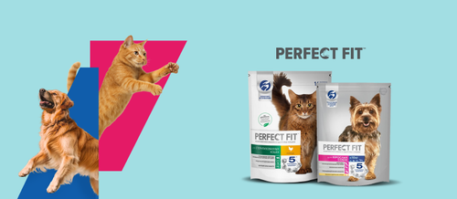 Perfect Fit 1.png
