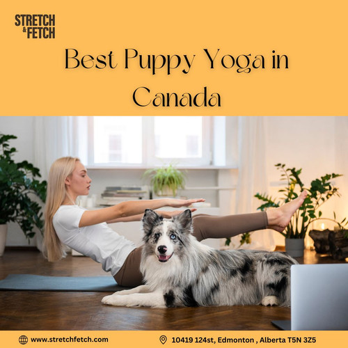 Best Puppy Yoga in Canada.jpg