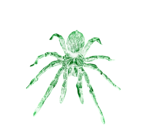 IMG 20260120 192056.png