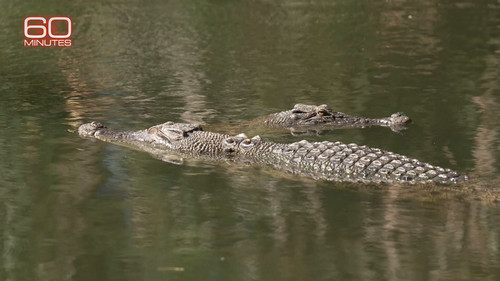 a1kZjI n1AVYCO r.jpg