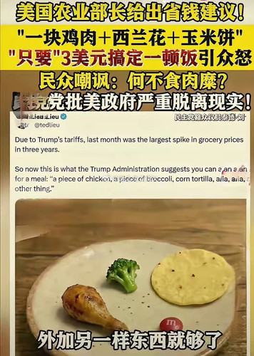 img 176878480367132337331ac5f47930482e8904723a71d2877ba21a138df2ec815005489fa90e3 edit 4260254802500.jpg