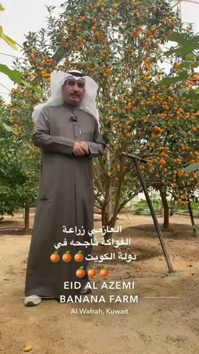 5NHOQWO M 2661er.jpg