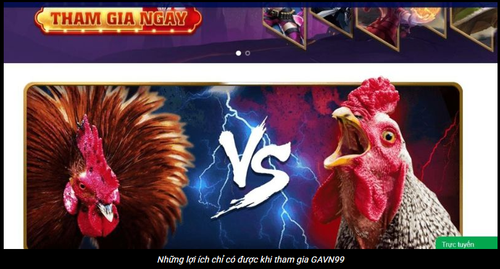 gavn99 org1.png