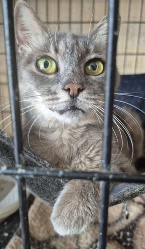 G 8Y4 5XEAAVf58?format=jpg.jpg