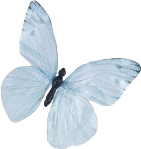 LS20260119044705.png