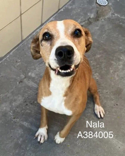 G 3rPOyXwAAMeGB?format=jpg.jpg