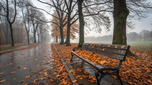 vecteezy a park bench is surrounded by fallen leaves 57933603 — копия.jpg