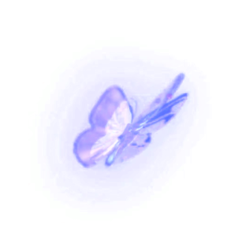 1000079427.png