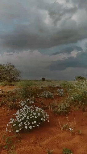 C6F h3pEjyTNcLyh.jpg