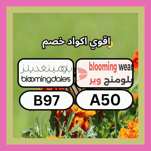 q1sNM6bmiqthDcF2.jpg