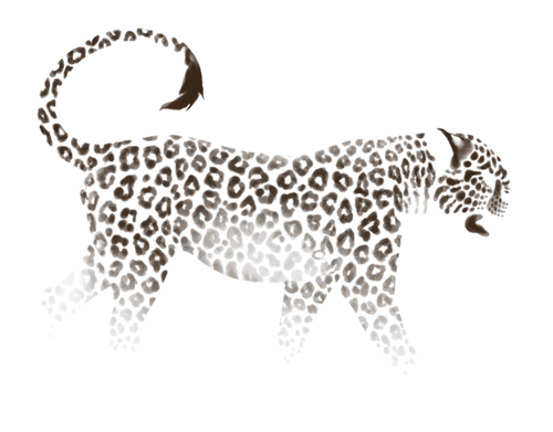 1000002248.png