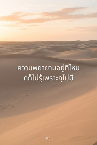 e7e64284fe7d.jpg