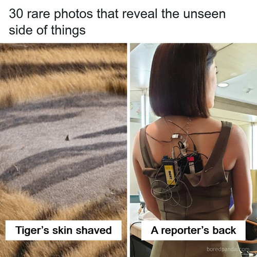 rarely seen images.jpg