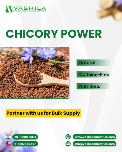 Chicory Powder Manufacturer in India.jpg