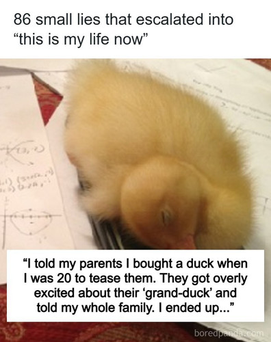 small lies escalated into life.jpg