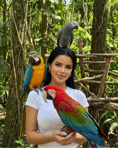 PARROT PARADISE.jpg
