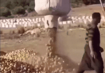 fgPMQeV.gif