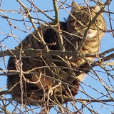 G AzpPXWsAAqsLK?format=jpg.jpg